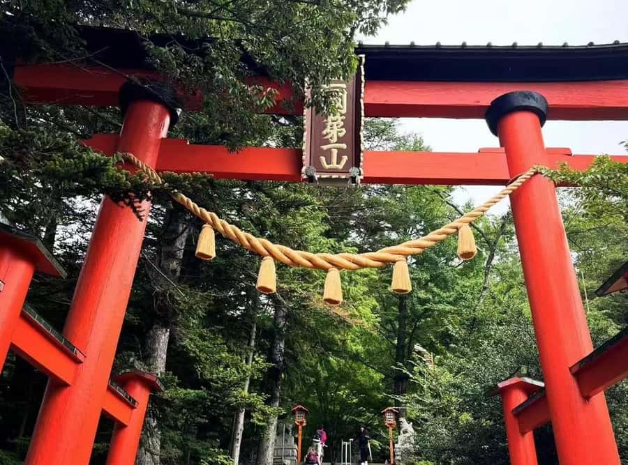 Mt. Fuji 6 Attractions Tour: Lake Kawaguchi, Oshino Hakkai - How the Tour Run Works: What’s Included, What You Should Bring
