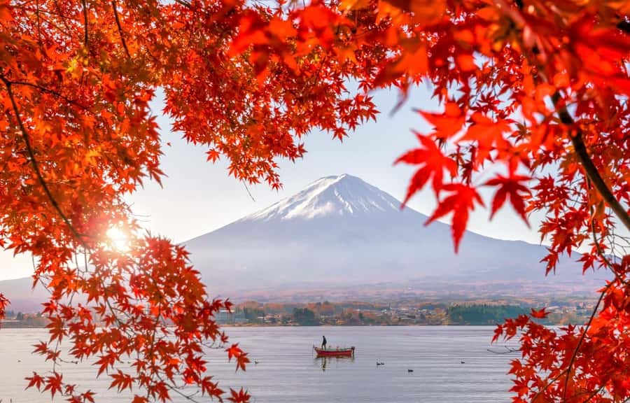 Mt. Fuji 6 Attractions Tour: Lake Kawaguchi, Oshino Hakkai - The Morning Run: Tokyo Departure, Coach Comfort, and Group Timing