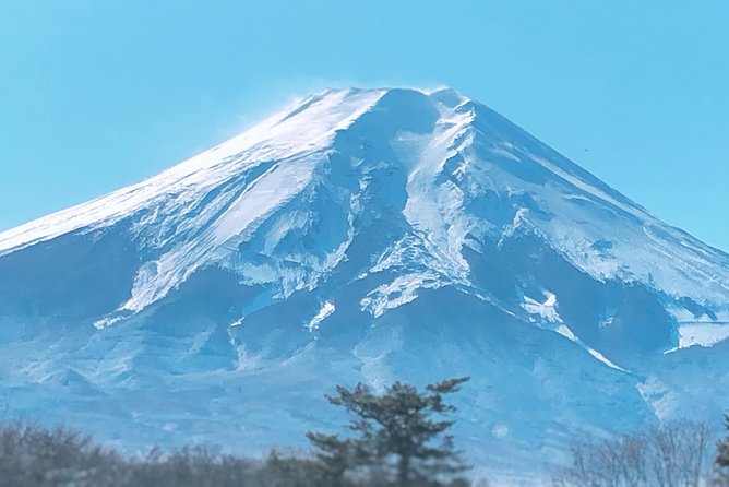 Mt Fuji and Gotemba Outlet tour from Tokyo - Private Tokyo Pickup to Mt. Fuji: The Logistics That Save Your Day