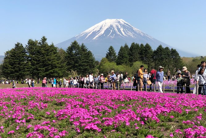 Mt Fuji and Gotemba Outlet tour from Tokyo - Lake Kawaguchiko: Fuji Five Lakes Views and a Taste of Fuji Activities