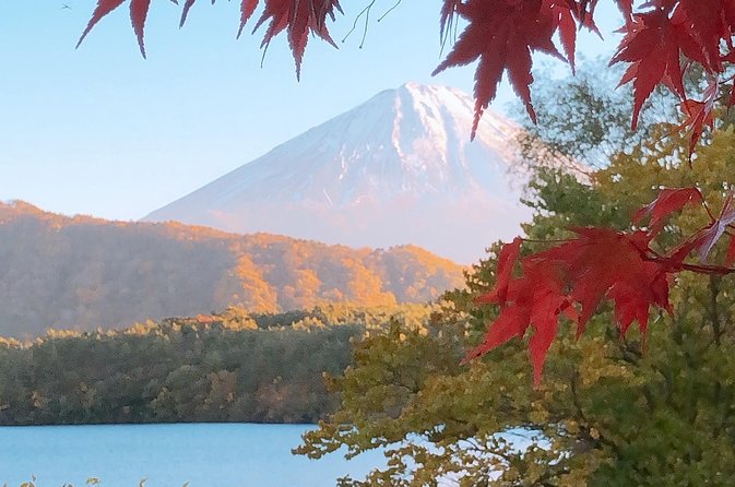 Mt Fuji and Gotemba Outlet tour from Tokyo - Drivers, Not Always a Fully Guided Tour: English and What to Ask