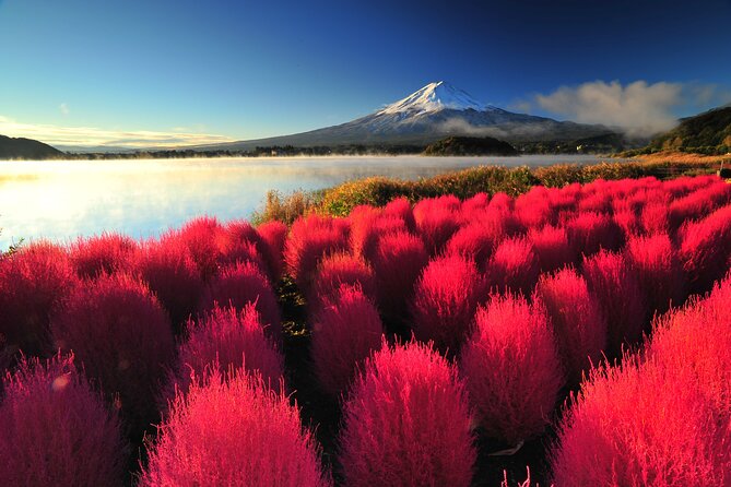 Mt. Fuji and Hakone 1 Day Bus Tour + Kimono Experience - Oishi Park: flower-framed Fuji views with a tight photo schedule