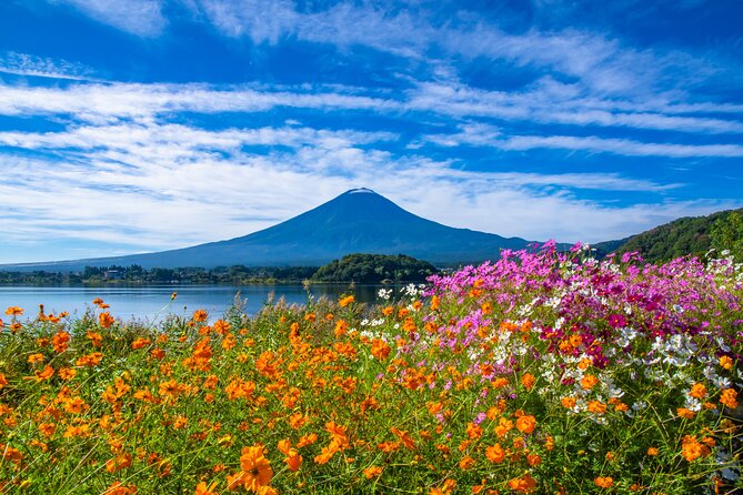 Mt. Fuji and Hakone 1 Day Bus Tour + Kimono Experience - Owakudani Valley: the volcanic payoff in about 30 minutes