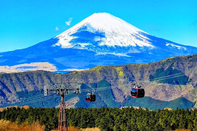 Mt Fuji and Hakone 1-Day Bus Tour Return by Bus - Getting back to Tokyo: Odawara vs Shinjuku