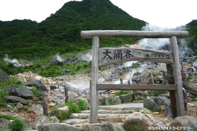 Mt. Fuji and Hakone Day Trip From Tokyo with Bullet Train Option - Owakudani Valley and the Hakone Ropeway: volcanic power and a fun ride overhead