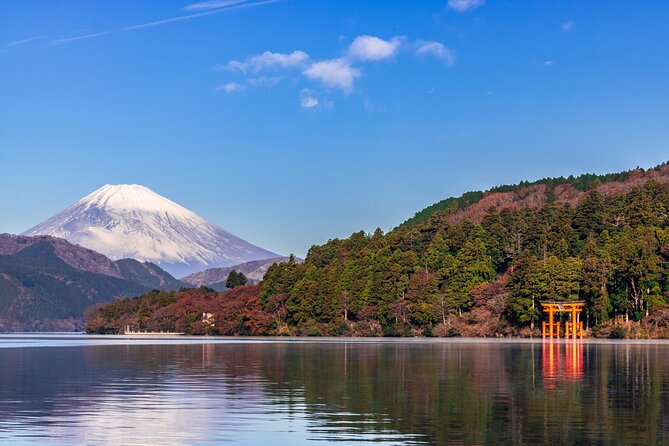 Mt. Fuji and Hakone Day Trip From Tokyo with Bullet Train Option - Lunch and comfort: decent food is possible, but it’s optional and quality can vary