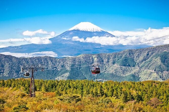 Mt. Fuji and Hakone Full Day Tour with English Speaking Driver - Stop-by-Stop: From Chureito Pagoda Views to Hakone Steam