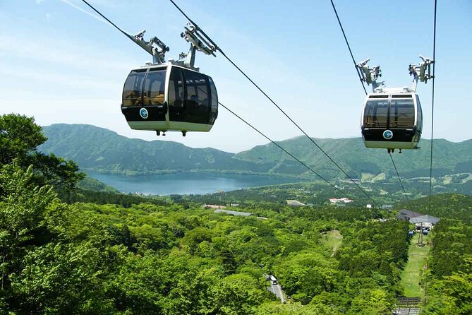 Mt.Fuji and Hakone Private SightSeeing Day Tour With Guide - Hakone Ropeway: sulfurous Owakudani views plus Lake Ashinoko in one ride