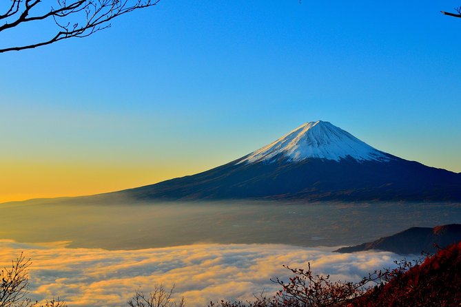 Mt. Fuji and Hakone Private Sightseeing from Tokyo “ENGLISH” - Private car from Tokyo: why this day trip feels easier