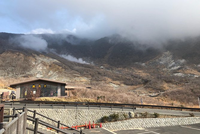Mt. Fuji and Hakone Private Sightseeing from Tokyo “ENGLISH” - What’s extra: lunch, Fuji 5th Station, and optional full guidance