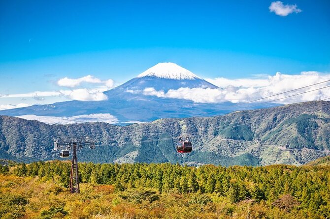 Mt. Fuji and Hakone Private Tour with English Speaking Guide - Why Combine Mt. Fuji and Hakone in One Private Day?