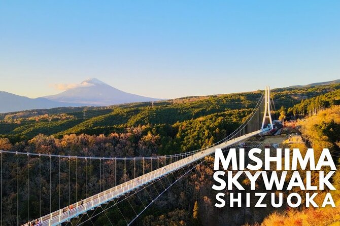 Mt. Fuji and Hakone Private Tour with English Speaking Guide - Who This Tour Fits Best (and Who Might Want a Different Plan)