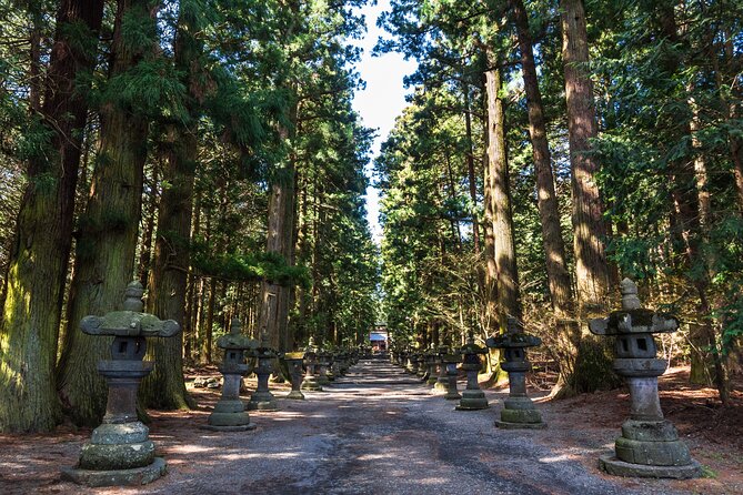 Mt.Fuji and Hakone Tour - Owakudani and the ropeway connection: volcano realism