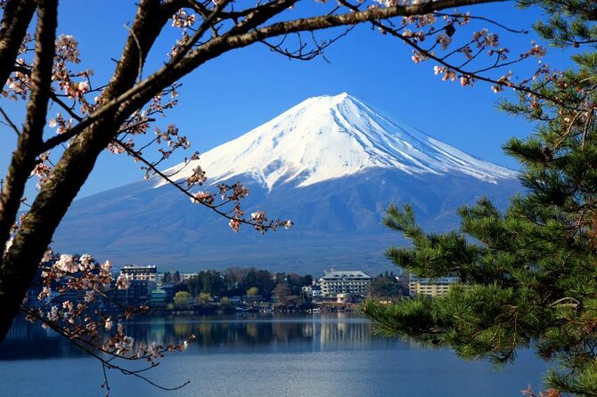 Mt Fuji and Kawaguchiko Private Tour - Key takeaways before you go
