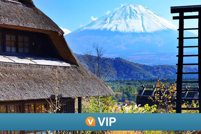 Mt Fuji and Kawaguchiko Private Tour - Why a private Fuji day beats wrangling trains from Tokyo