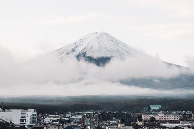 Mt. Fuji and Lake Kawaguchi Day Trip with Private Car - Oshino Hakkai’s spring water stop: calm, photogenic, and free