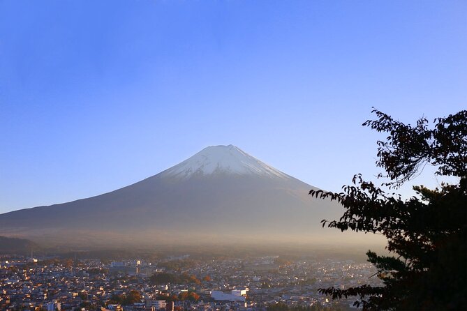Mt. Fuji and Lake Kawaguchi Day Trip with Private Car - Aokigahara caves: Narusawa Ice Cave and Fugaku Wind Cave