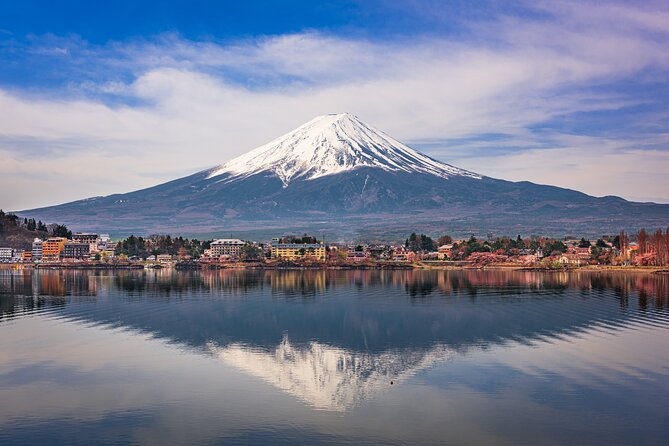 Mt Fuji and Tokyo - 2 Day Private Car Tour "ENGLISH DRIVER" - Tsukiji street-food style: eat first, ask questions second