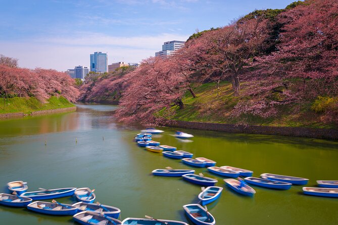 Mt Fuji and Tokyo - 2 Day Private Car Tour "ENGLISH DRIVER" - Tokyo Skytree: the skyline moment (and the ticket math)