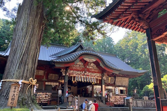Mt Fuji Area: In-depth Guided Adventure in English or French - Logistics That Make or Break a Mt Fuji Half-Day