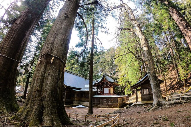 Mt Fuji Area Private Guided Tours in English-Nature up close, quiet, personal - Lake Kawaguchiko and Lake Saiko: building better Mt. Fuji odds
