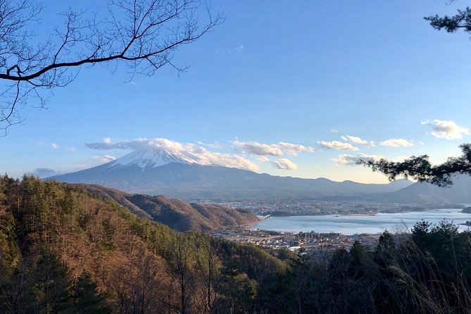 Mt Fuji Area Private Guided Tours in English-Nature up close, quiet, personal - Kawaguchi Asama Shrine: where the day gets spiritual and scenic
