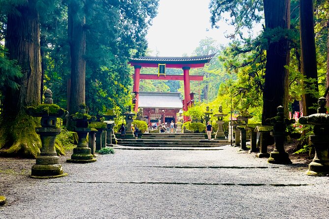 Mt. Fuji, Cherry Blossom & Shiba Sakura Pvt. Day Tour - Kitaguchi Hongu Fuji Sengen Jinja: a Quiet Pause With Old Wood and Big Trees