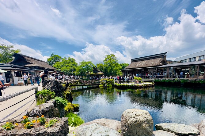 Mt. Fuji, Cherry Blossom & Shiba Sakura Pvt. Day Tour - Lake Kawaguchiko and Oishi Park: Where You Can Go From Views to Experiences