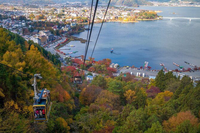 Mt Fuji Customizable Private Tour English Speaking Driver Pick-up - Shiraito Falls: water, trees, and a scenic break