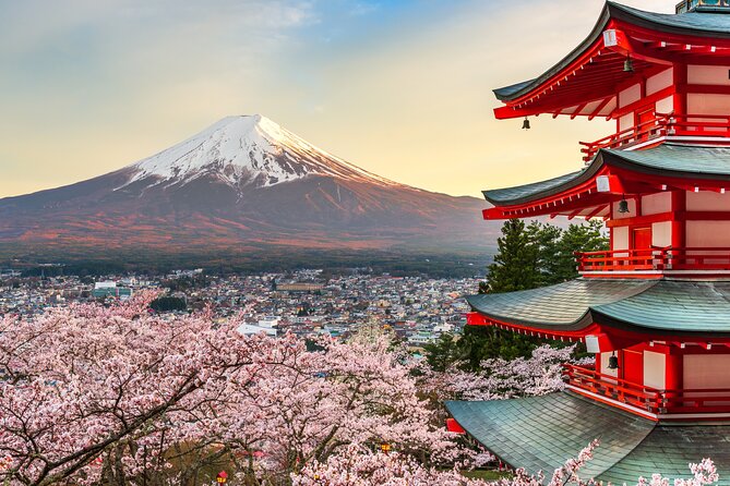 Mt Fuji Customizable Private Tour English Speaking Driver Pick-up - How the day runs: a 9–10 hour route with photo pacing