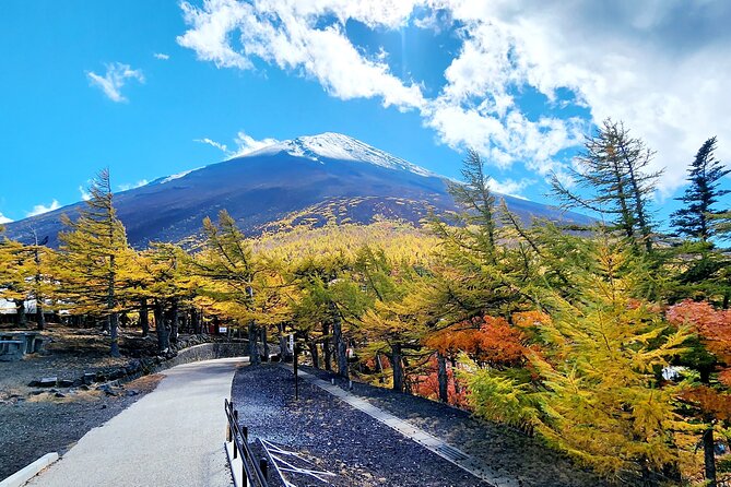 Mt Fuji Day Tour by Car With English Speaking Chauffeurs - Price and value for a 10-hour private Mt Fuji day