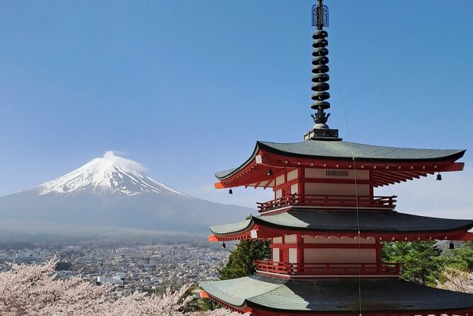 Mt Fuji Day Tour by Car With English Speaking Chauffeurs - Oshino Hakkai: eight springs, clear ponds, and quiet pacing
