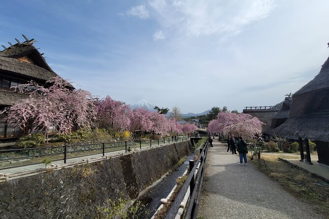 Mt Fuji Day Tour by Car With English Speaking Chauffeurs - Saiko Iyashi no Sato Nemba: thatched-roof village atmosphere