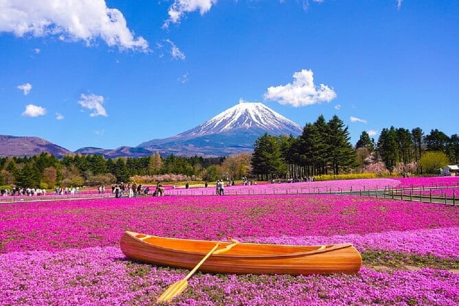 Mt. Fuji Day tour: Kawaguchi Lake Ropeway, Matcha, Oshino Hakkai - Key Highlights That Make This Day Tour Worth It