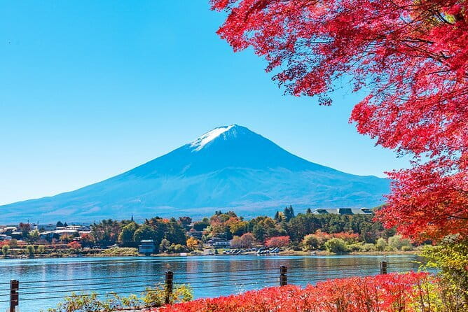 Mt. Fuji Day tour: Kawaguchi Lake Ropeway, Matcha, Oshino Hakkai - Lawson Near Kawaguchi Station: The Quick Fuji Photo That Sets the Tone