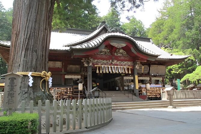 Mt FUJI Day Tour with Private Car and English Speaking Guide - Ropeway, Ice Cave, and Art Museum: How to Choose Without Burning the Day