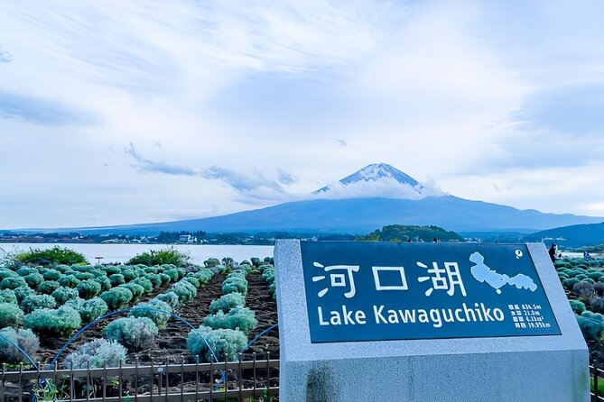 Mt FUJI Day Tour with Private Car and English Speaking Guide - Kitaguchi Hongu Fuji Sengen Jinja: A Shrine That Connects to the Yoshida Trail