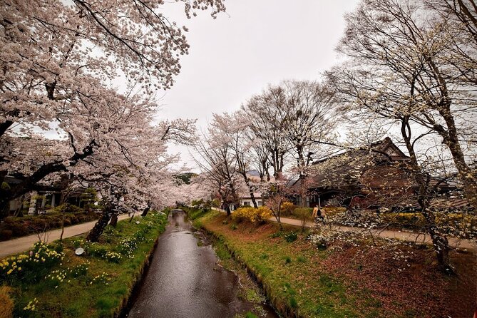 Mt Fuji Day Trip from Tokyo by Car with Photographer Guide - Oshino Hakkai: Clear-Water Ponds and Village Scenery