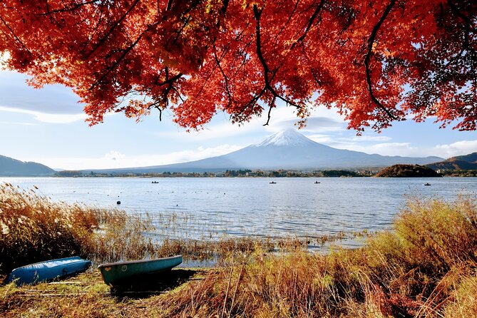 Mt Fuji Day Trip from Tokyo by Car with Photographer Guide - Saiko Iyashi no Sato Nemba: Old Roof Homes and Fuji Behind the Houses