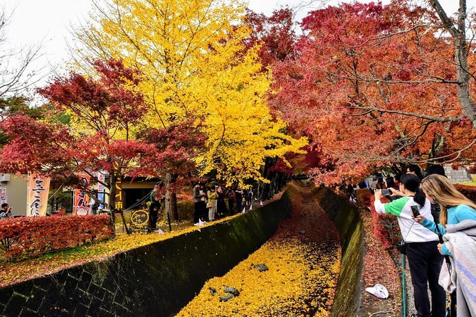 Mt Fuji Day Trip from Tokyo by Car with Photographer Guide - Price and Value: What $1,150 Gets You (and When It’s Worth It)