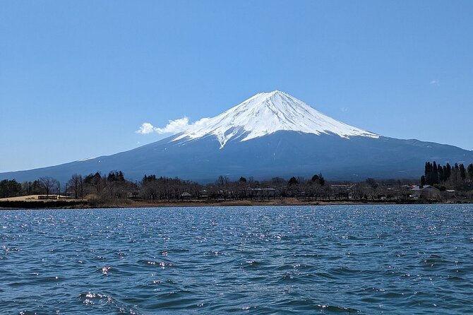 Mt. Fuji Day Trip from Tokyo with English Speaking Driver Guide - Oishi Park and Kitaguchi Hongu Fuji Sengen Jinja: the shrine-and-view combo