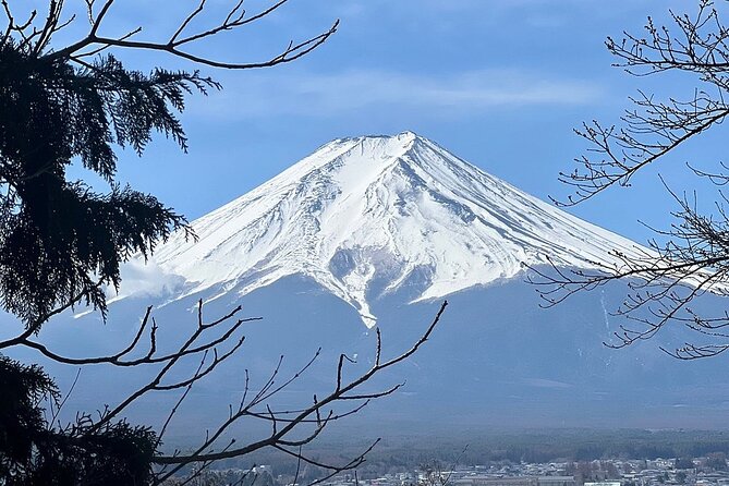 Mt. Fuji Day Trip from Tokyo with English Speaking Driver Guide - Money and value: what you pay for, what’s extra, and where the surprises hide