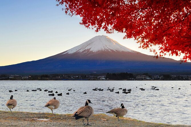 Mt Fuji Exclusive Tour with Private Car English Guide - Tokyo to Fuji, without the stress