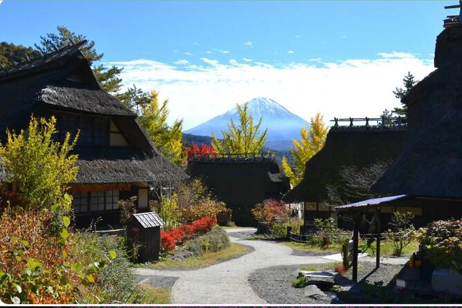 Mt Fuji Exclusive Tour with Private Car English Guide - Stop 2: Oishi Park for Fuji views and flower-season vibes
