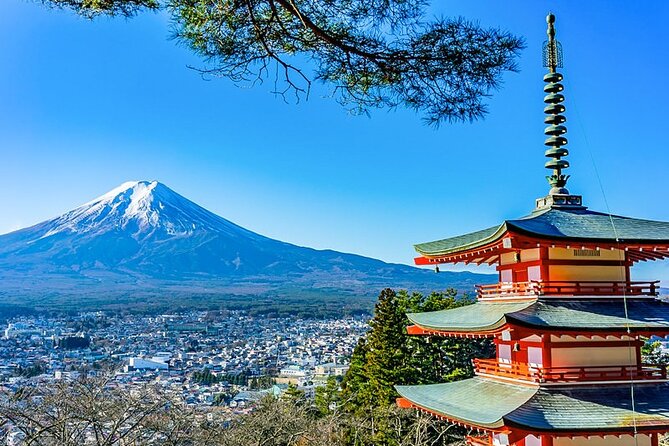 Mt. Fuji Five Lakes Area Private Tour with Licensed Guide(Kawaguchiko area Dep) - Key things to know before you go