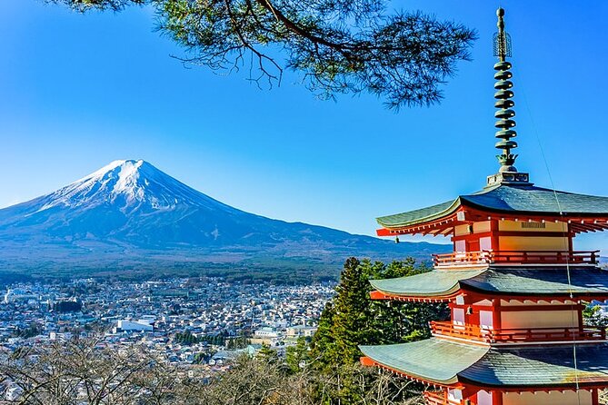 Mt. Fuji Five Lakes Tour with Guide & Vehicle (Kawaguchiko Dep) - Key takeaways before you pick your Fuji stops