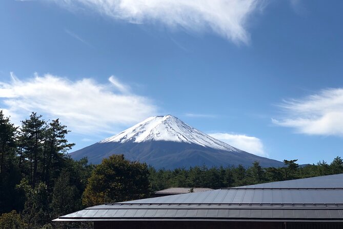 Mt. Fuji & Hakone Bus Tour Bullet Train Return & 28-Hotel Pick-up - From Tokyo pickup to Fuji views: why this route works