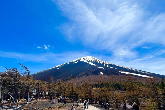 Mt. Fuji & Hakone Bus Tour Bullet Train Return & 28-Hotel Pick-up - The long bus day trade-off (and how to use it)