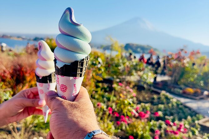 Mt. Fuji & Hakone Cherry Blossom private One Day Tour - The morning start: Tokyo Station meet-up and how the day stays on track