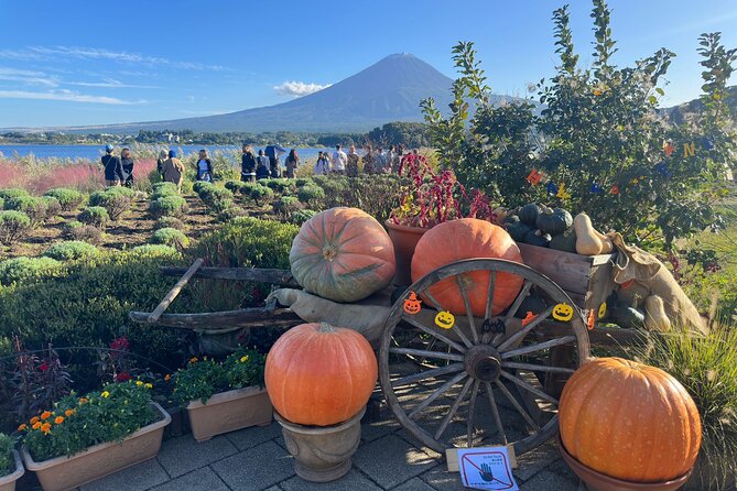 Mt. Fuji & Hakone Cherry Blossom private One Day Tour - Oshino Hakkai: spring ponds, easy walking, and that Mount Fuji reflection factor